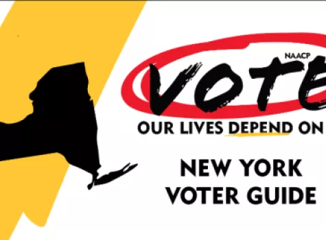 New York voter guide hero