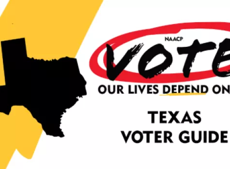 2024 Texas Hero - Voter Guides.png